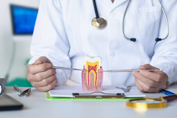 Best Cracked Tooth Emergency Dentist  in Maysville, KY